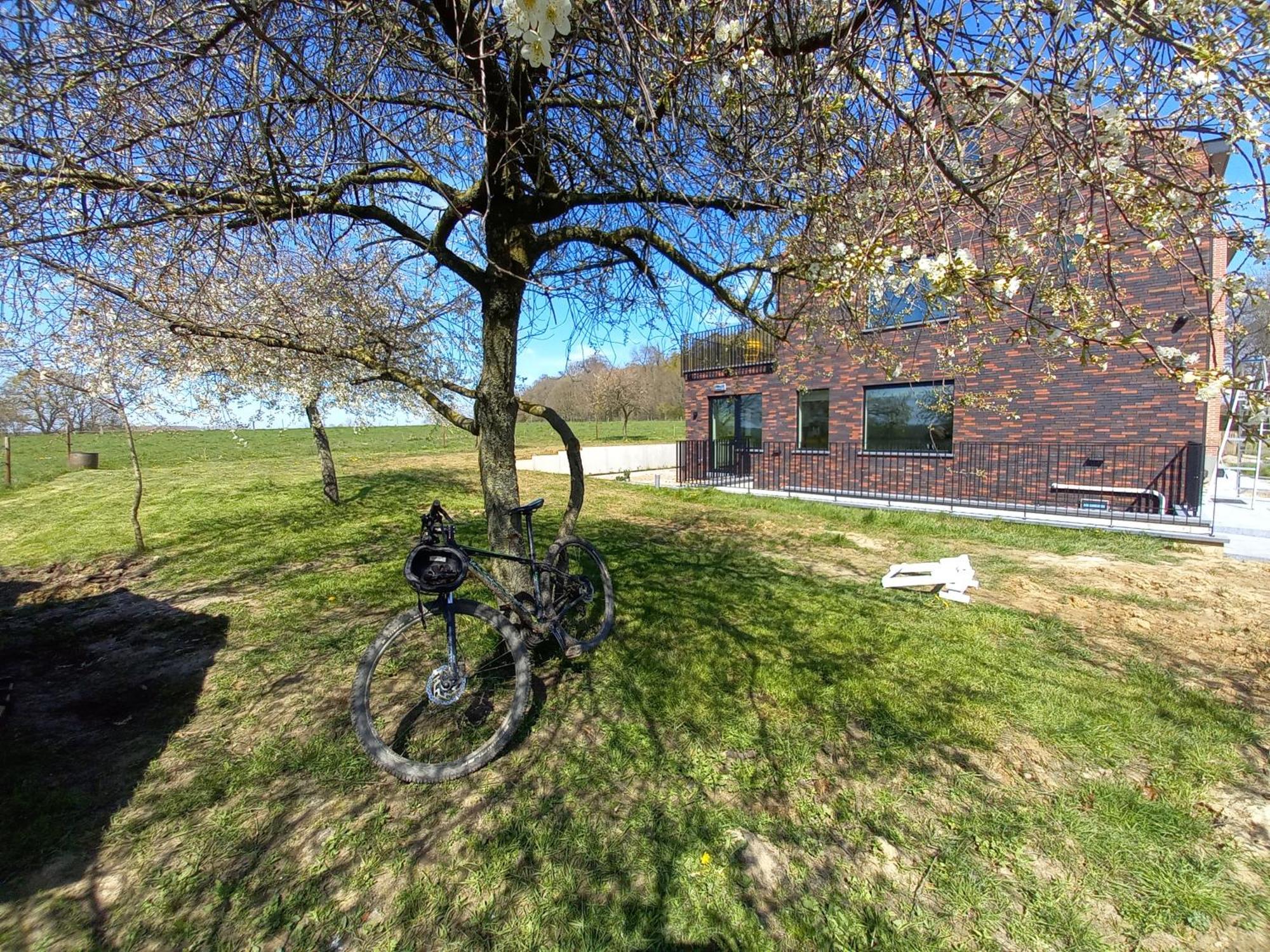 Trionfo Bed and Breakfast Gaasbeek Buitenkant foto